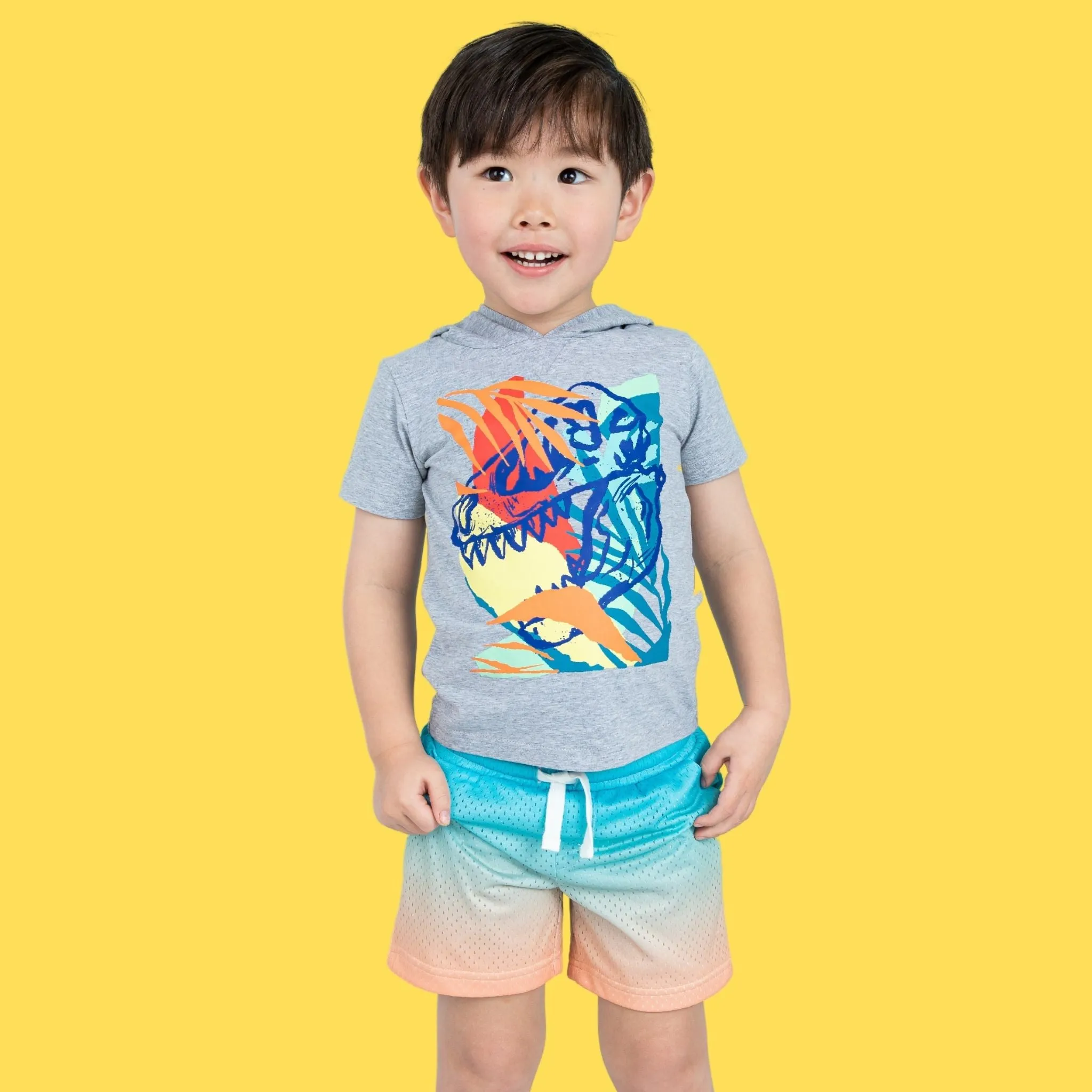 Tropical Dino Hooded Tee & Short Set | Gray